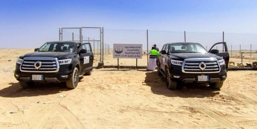 أمانة تبوك تكثف جهودها لمعالجة تجمعات الدواب الضالة
