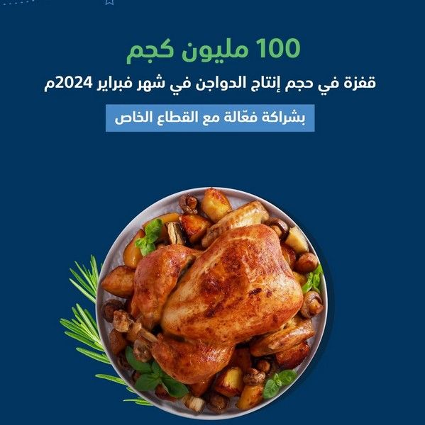 المملكة تحقق قفزة في قطاع الدواجن وتسجل رقمًا قياسيًا بإنتاج 100 مليون كجم في شهر فبراير 2024م