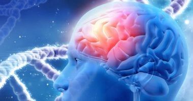 رجيم البحر الأبيض المتوسط يقلل خطر الإصابة بألزهايمر