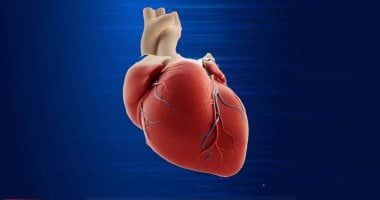 أطعمة يجب تناولها لتجنب مشاكل القلب والأوعية الدموية