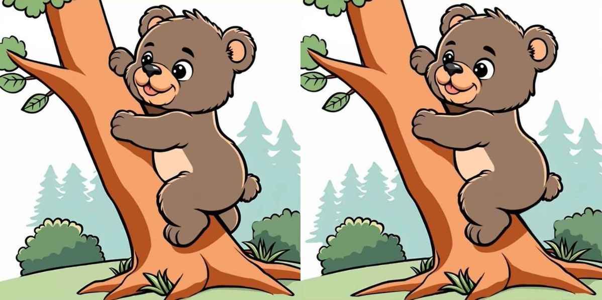 لغز صعب.. اكتشف 3 اختلافات بين صورتي الكوالا خلال 12 ثانية فقط