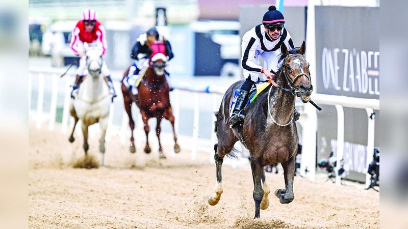 الامارات | 8 أبطال من ذهب يتوهجون في «ميدان»