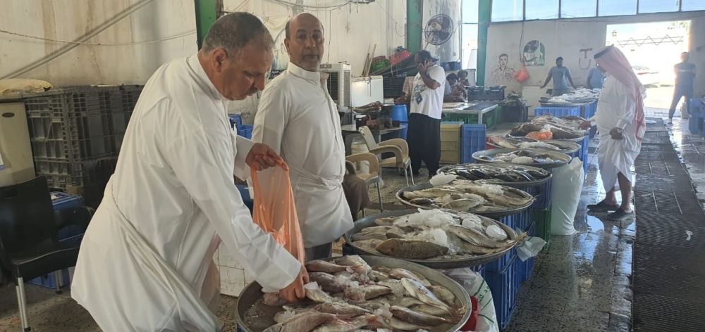 عزوف المطاعم عن الشراء في رمضان يهبط بأسعار السمك 25%
