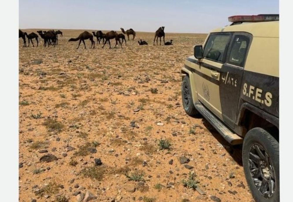 "الأمن البيئي" تضبط 3 أشخاص لارتكاب مخالفة رعي بالرياض