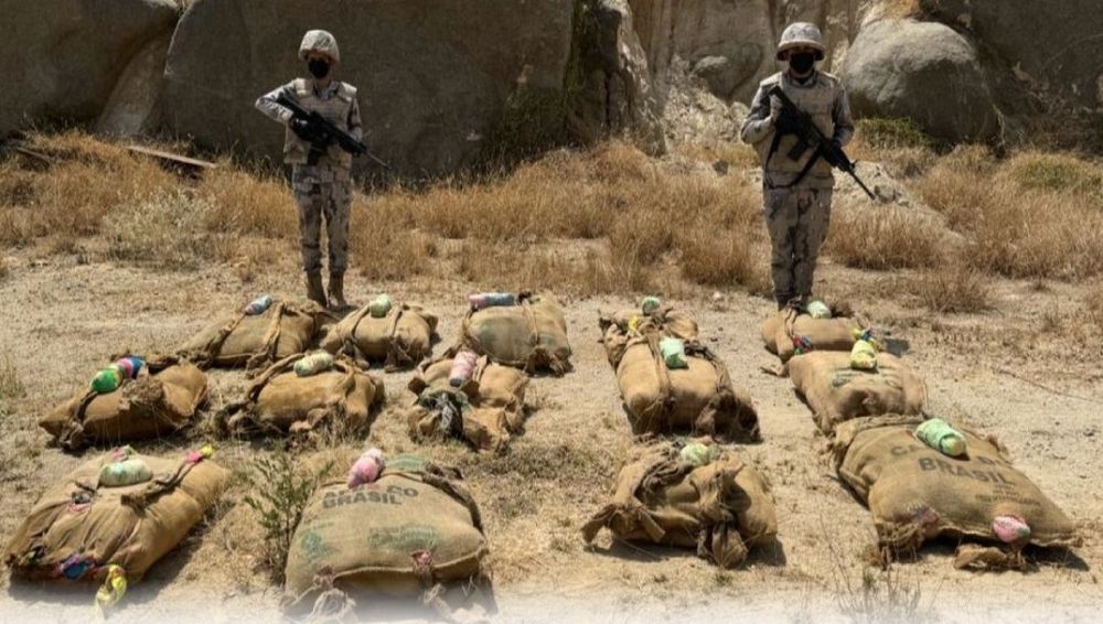 إحباط تهريب 200 كيلوجرام من القات المخدر في جازان