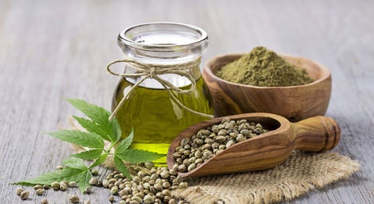 يمكن أن تساعدك بذور القنب على إنقاص الوزن.. إنها جيدة جدا فقط اقرأ