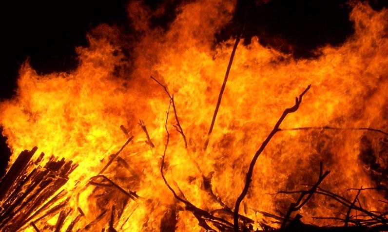 الامارات | نفوق أكثر من 200 حيوان نادر إثر اندلاع حريق بحديقة حيوان في القرم