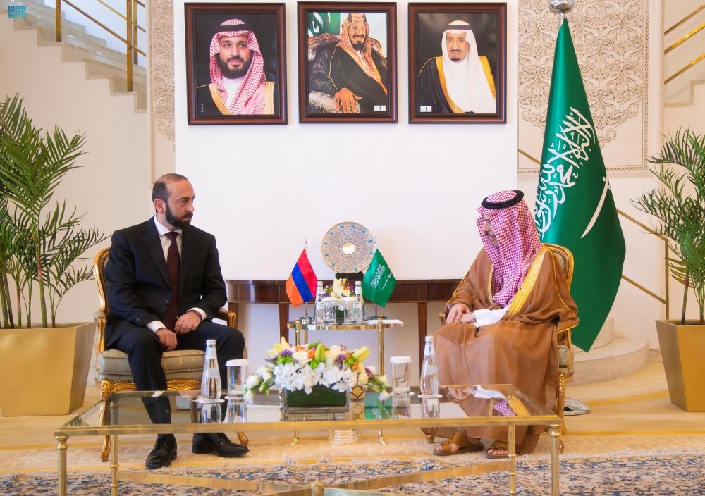 وزير الخارجية يبحث القضايا الإقليمية والدولية مع نظيره الأرميني