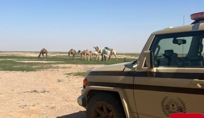 القبض على مواطنين ومقيم لترويج المخدرات ومُخالفة نظام أمن الحدود والبيئة