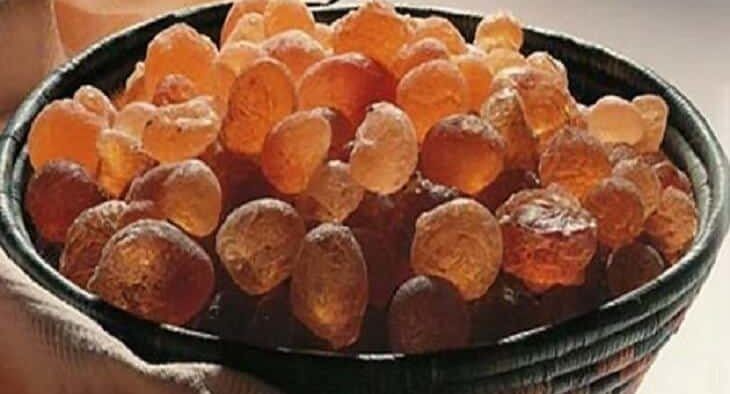 سوق الابيض يصدر اكثر من عشرين الف طنا من المحاصيل