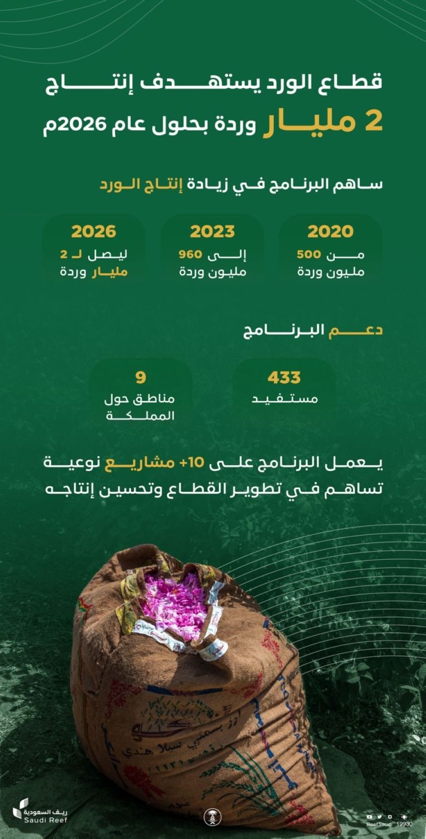 ريف السعودية: قطاع الورد يستهدف إنتاج ملياري وردة بحلول 2026م