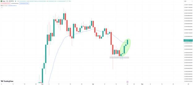 بيبي (Pepe-PEPE): الرابح الأكبر بين عملات الميم في عالم Doge يوم الإثنين