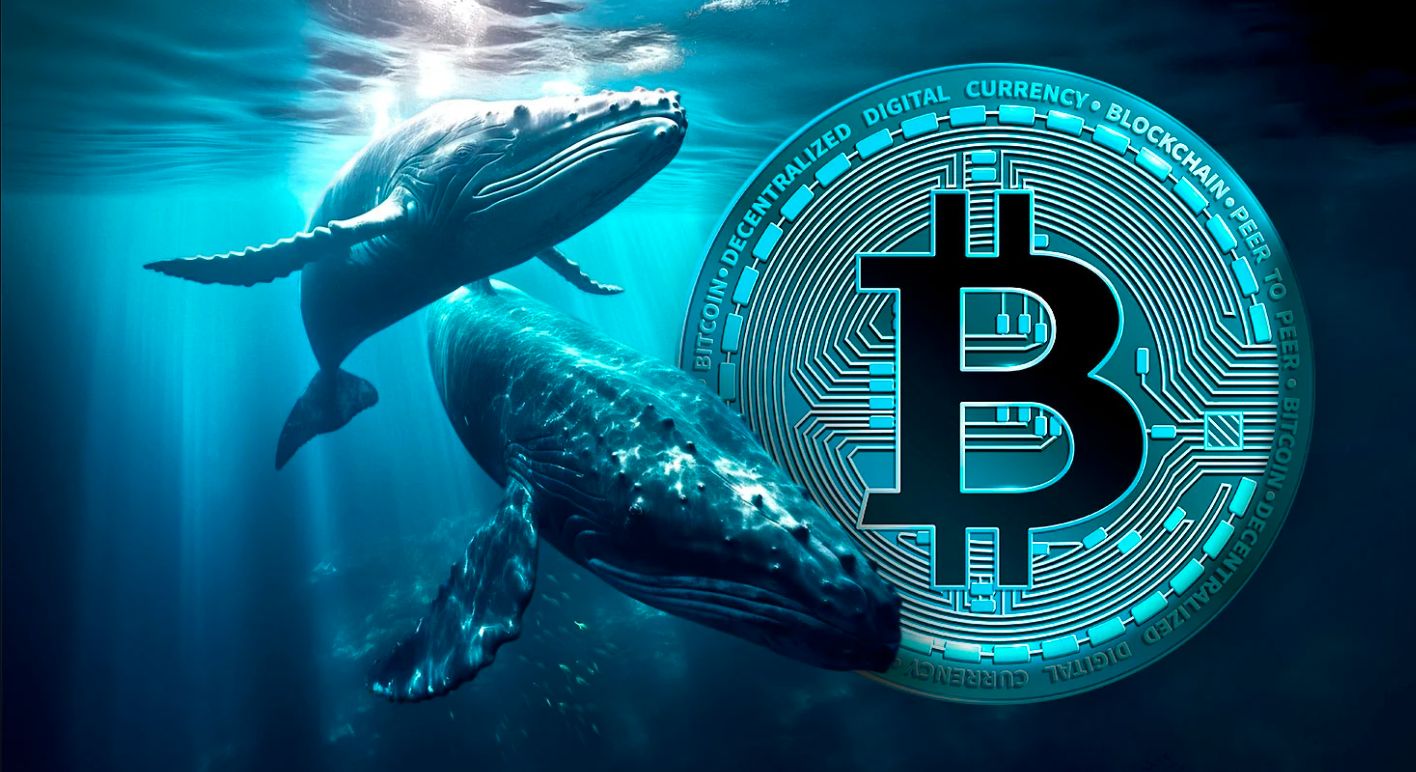 تحركات كبيرة في سوق البيتكوين: إيداع بقيمة 78 مليون دولار في منصة “Kraken” قبل تصحيح السوق