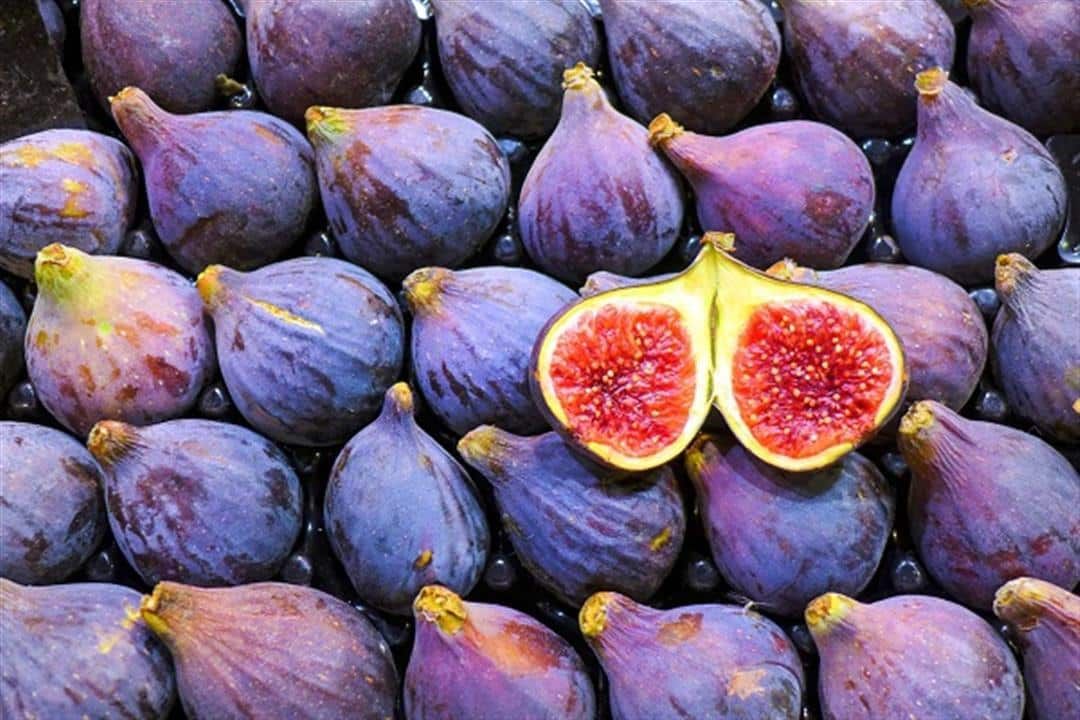 التين البرشومي.. فوائد صحية هائلة يقوى العظام ويعزز المناعة وينظم السكر بالدم