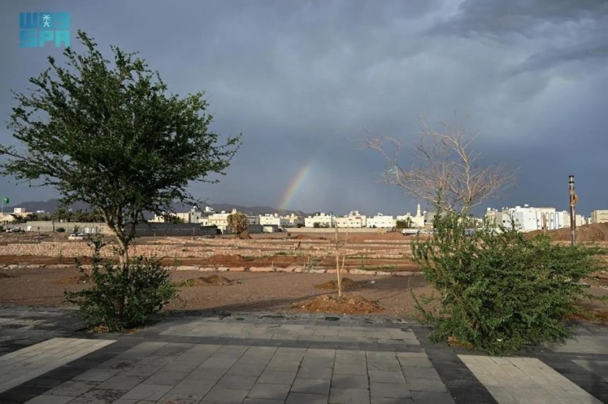 بالصور.. الأمطار ترسم صورًا طبيعية خلابة في المدينة المنورة