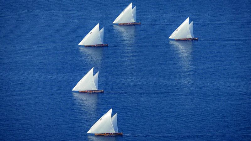 الامارات | إقبال كبير من النواخذة على سباق دلما التاريخي
