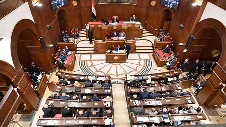 ملف الدولة بالكامل.. وكيل "زراعة الشيوخ" يطالب الحكومة بكشف خطتها لتمويل المزارع