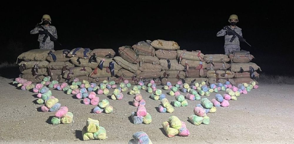حرس الحدود بعسير يقبض على 16 مخالفًا لتهريبهم 320 كيلوجرامًا من "القات" المخدر