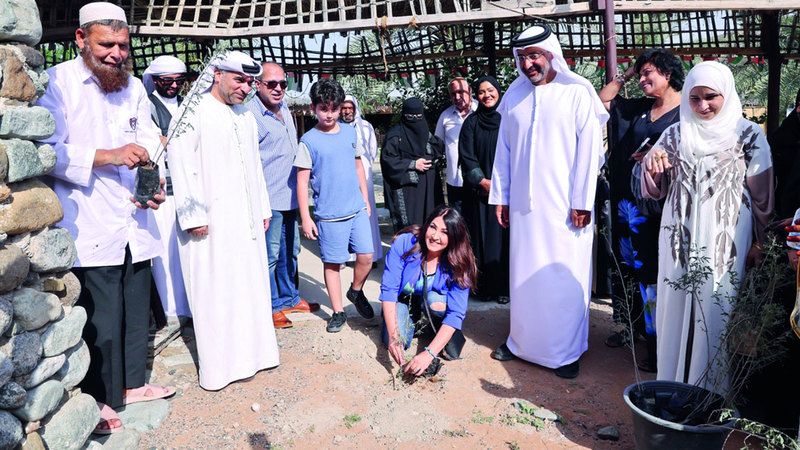 الامارات | مشاركون في مهرجان الجبل يغرسون الغاف في حديقة الشعراء