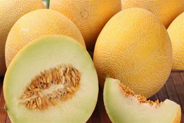 الشمام فاكهة غنية بالمغذيات.. يساعد على إنقاص الوزن ويحسن صحة القلب