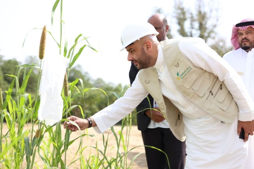 ريف السعودية: الميكنة الزراعية خفضت تكاليف حصاد المحاصيل البعلية بنسبة 90%