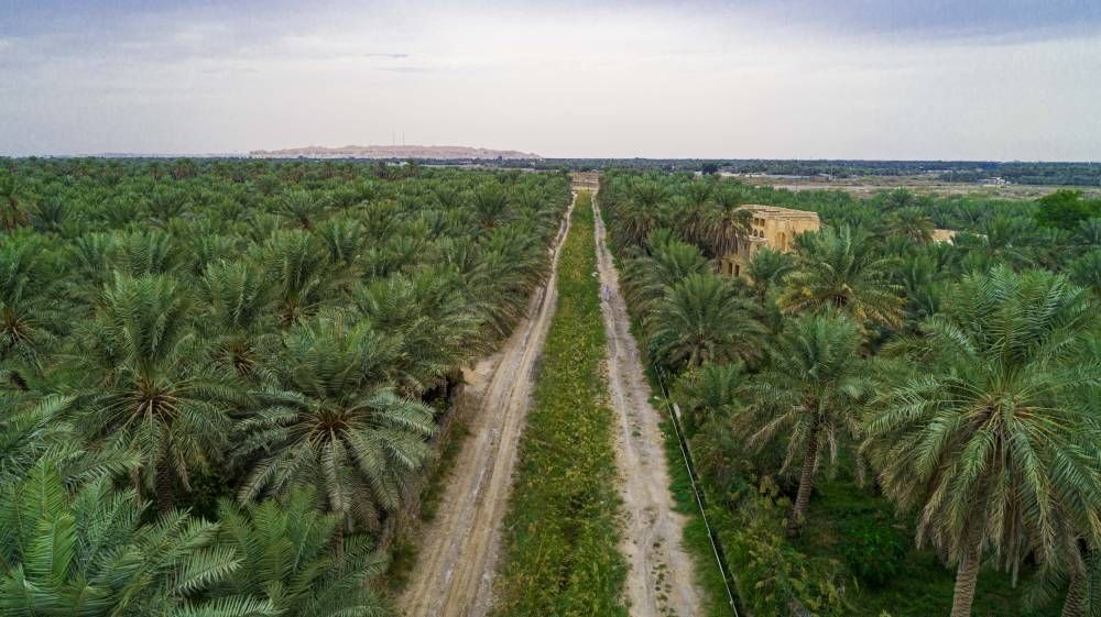 مدينة مصغرة لواحة الأحساء الزراعية