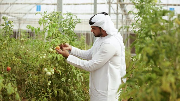 الامارات | لتعزيز منظومة الأمن الغذائي.. قرار جديد يستهدف تحسين دخل "صغار المزارعين" في أبوظبي