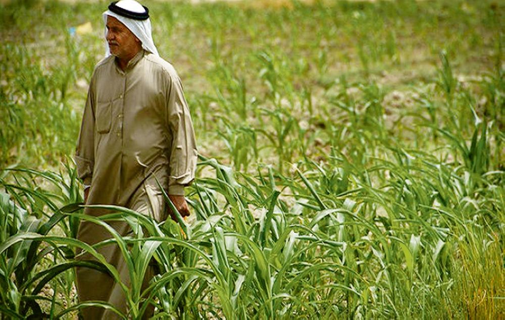 "وقاء" يستعرض أفضل الطرق الحديثة في توعية المزارعين
