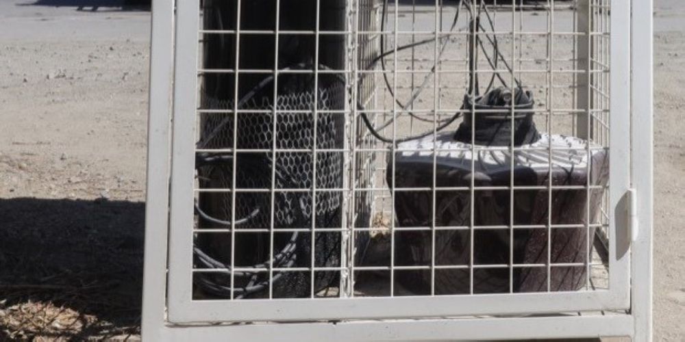 "وقاء" ينظم برنامجًا تدريبيًا للتوعية بأهمية المصائد الذكية