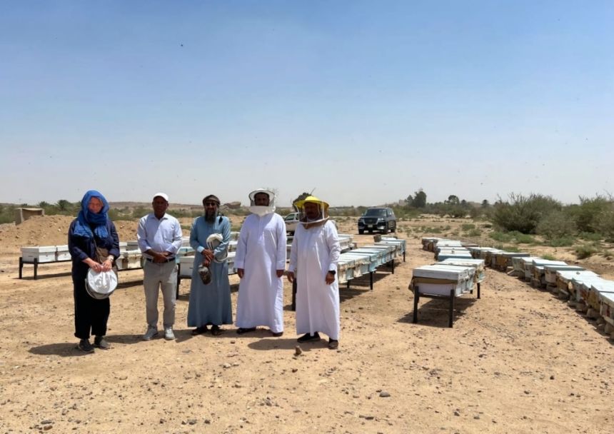 خبراء من "الفاو" يبحثون حماية السلالة المحلية للنحل بمكة المكرمة