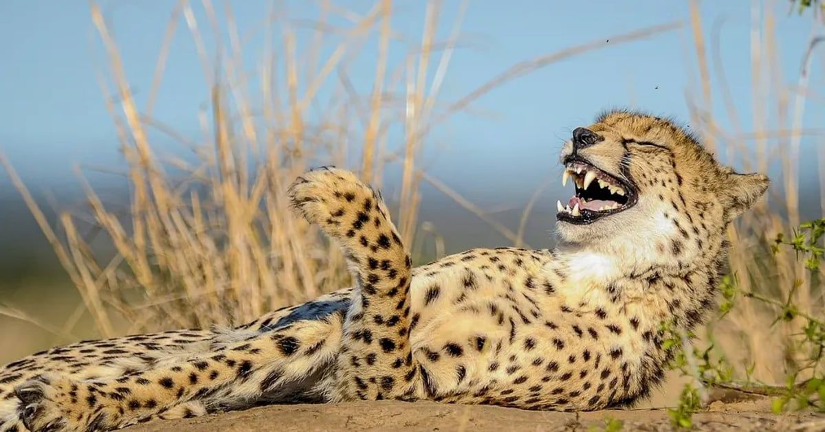 الأسبوع في 12 صورة: فيضانات وأعاصير في البرازيل وأمريكا.. ونكبة جديدة في رفح