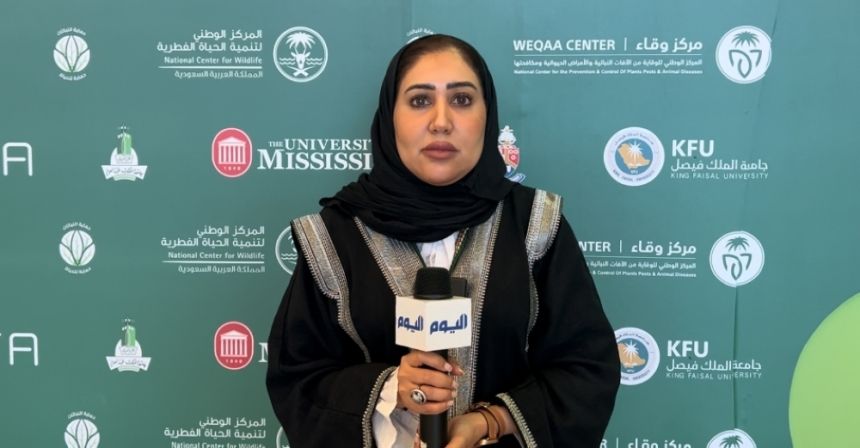 فيديو| خبراء لـ "اليوم": الجندب الأسود لا ينقل الأمراض ولا يسبب خسائر اقتصادية للمزارعين
