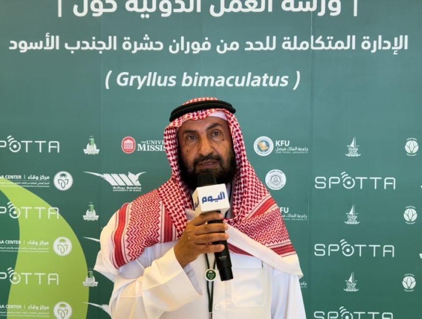 فيديو| خبراء لـ "اليوم": الجندب الأسود لا ينقل الأمراض ولا يسبب خسائر اقتصادية للمزارعين