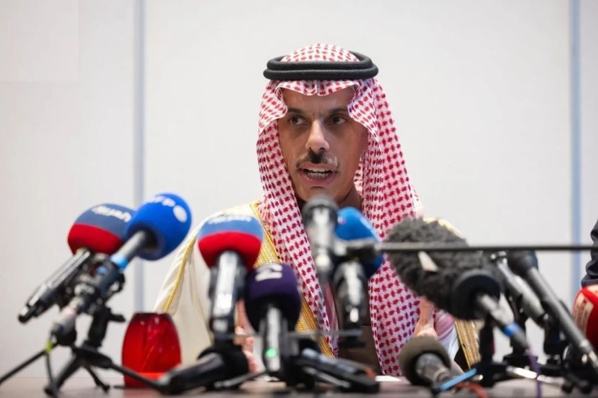وزير الخارجية: بوادر في المجتمع الدولى لدعم حل الدولتين