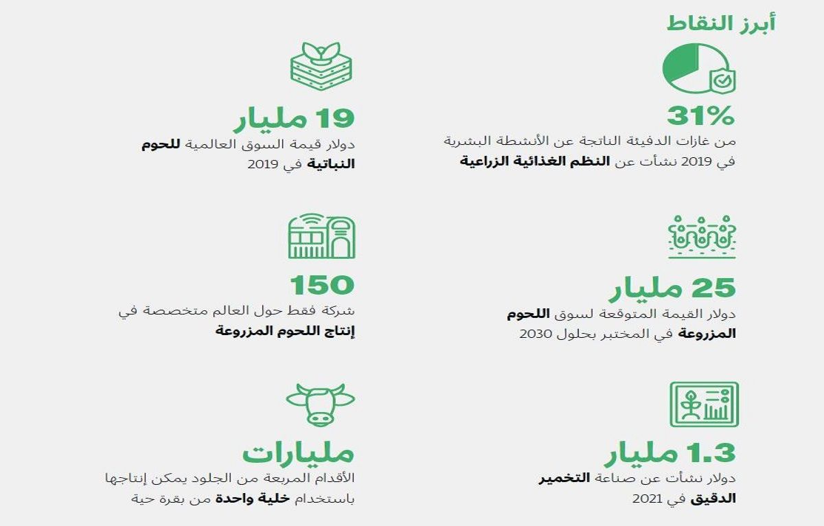 الامارات | "دبي للمستقبل ": العالم سيكون بحاجة إلى 374 مليون طن من اللحوم بحلول 2030