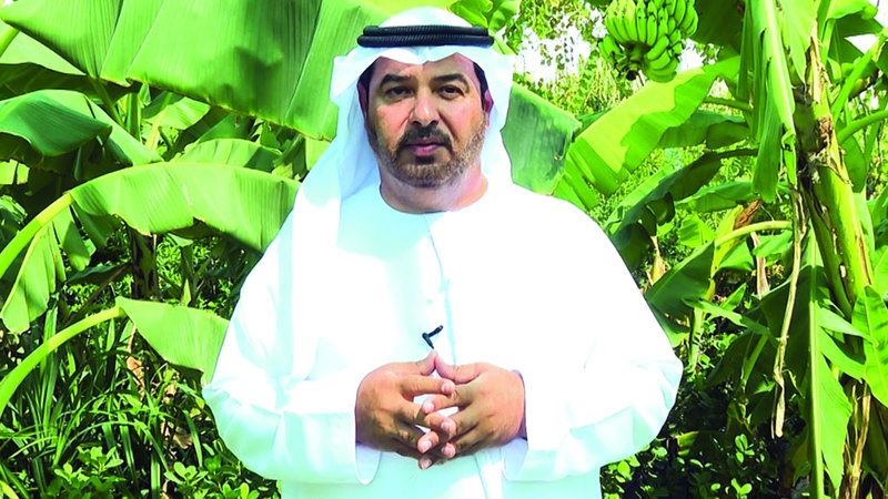 الامارات | مزارع إماراتي ينتج 200 طن سماد عضوي شهرياً من تدوير النفايات