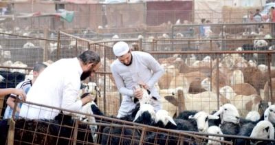 ضبط وافدين لنصبهما بالترويج لسندات هدي غير نظامية