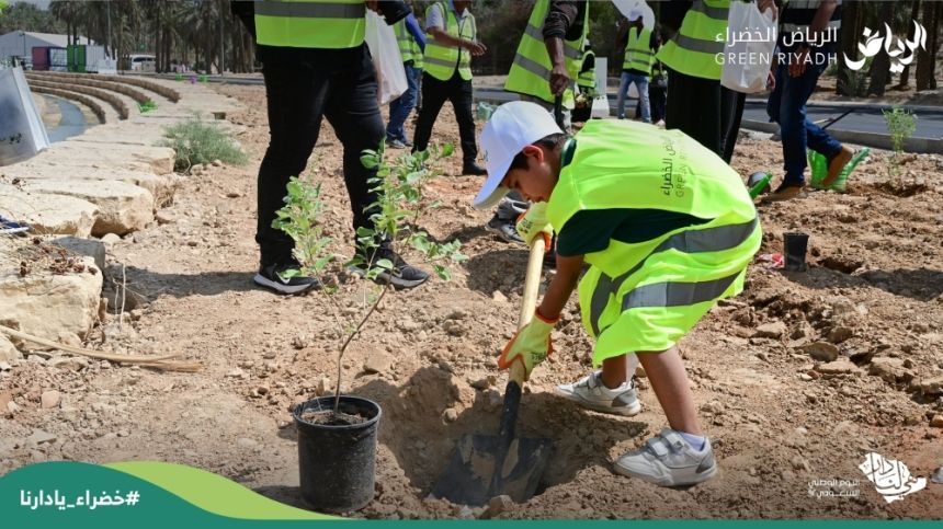 اليوم العالمي للبيئة.. السعودية تكافح التصحر والتلوث بـ 10 مليارات شجرة