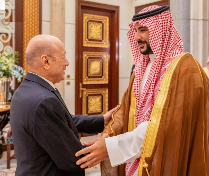 وزير الدفاع يبحث مستجدات الأوضاع مع رئيس مجلس القيادة اليمني