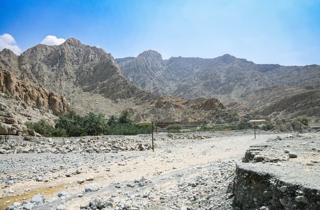 الامارات | بمشروع اطَلع عليه رئيس الدولة.. إدراج "تسعة مواقع هامة للتنوع البيولوجي عالمياً" في الإمارات