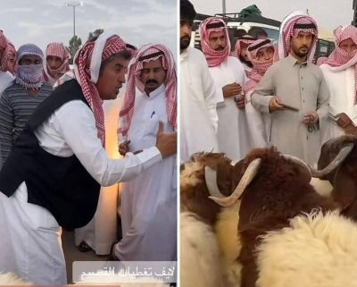 شاهد.. مزاد على مجموعة من الخرفان في أحد أسواق القصيم