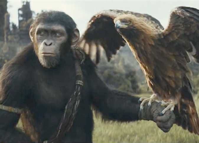 إيرادات Kingdom of the Planet of the Apes فى آخر أسبوع بالسينمات