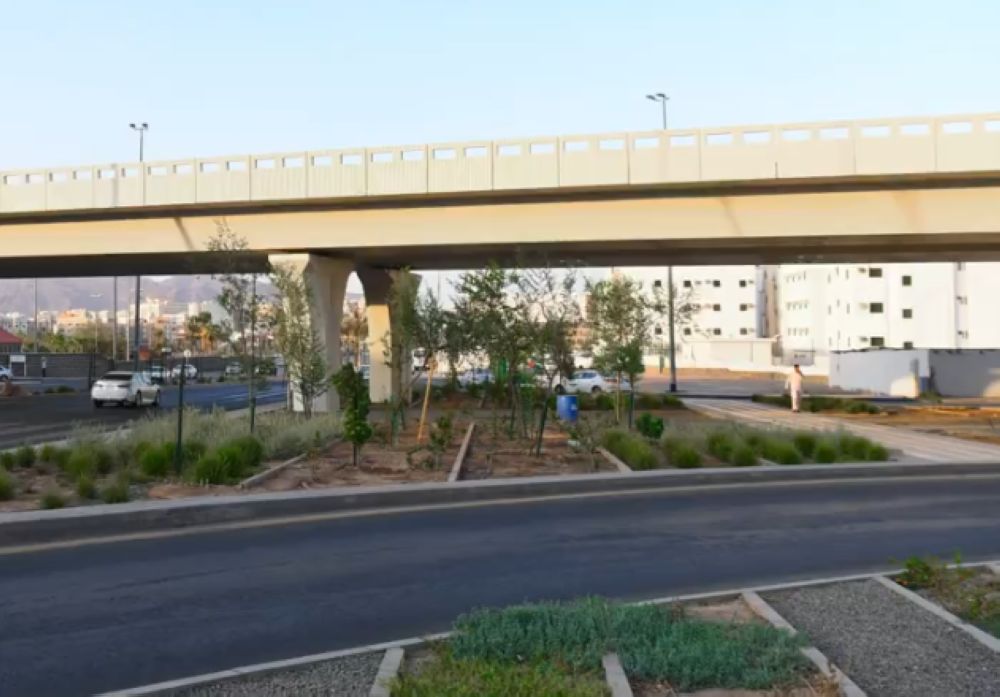المدينة المنورة..  مواصلة صيانة الأنفاق وجسور المشاة