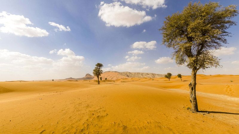الامارات | 3 ملامح للقيظ خلال فصل الصيف