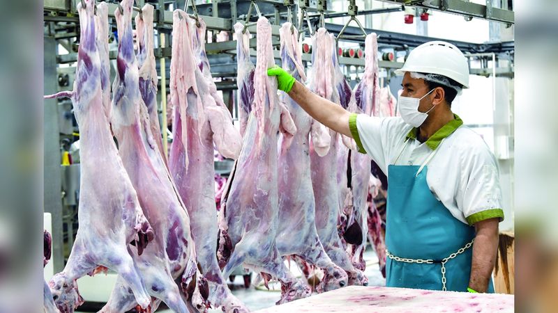الامارات | «بلدية دبي» تخصص 4 تطبيقات ذكية لشراء الأضاحي وذبحها وتوزيعها