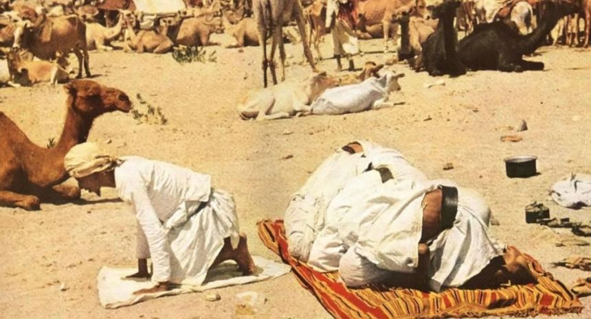 المملكة.. 100 عام في خدمة ضيوف الرحمن