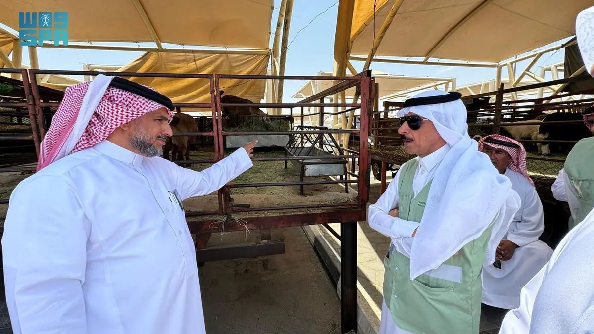 البيئة والمياه تنفذ 367 جولة رقابية على المسالخ وأسواق الماشية بنجران