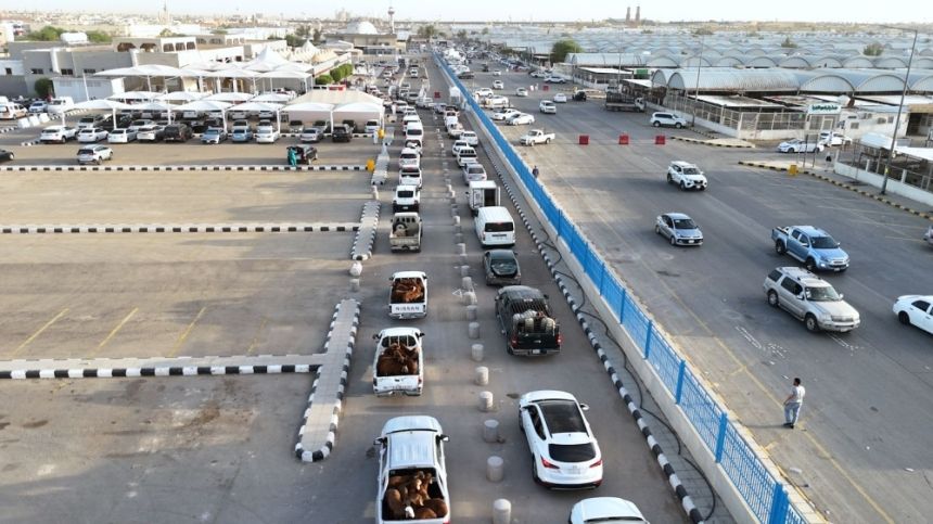 بأول أيام عيد الأضحى.. 97 ألف رأس ماشية و40 ألف ذبيحة في الرياض