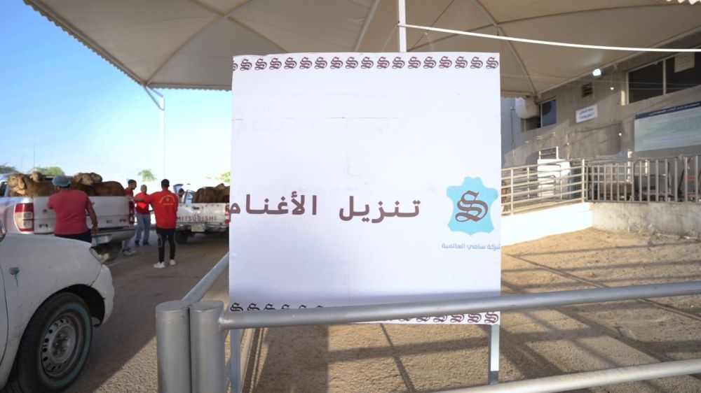 بأول أيام عيد الأضحى.. 97 ألف رأس ماشية و40 ألف ذبيحة في الرياض