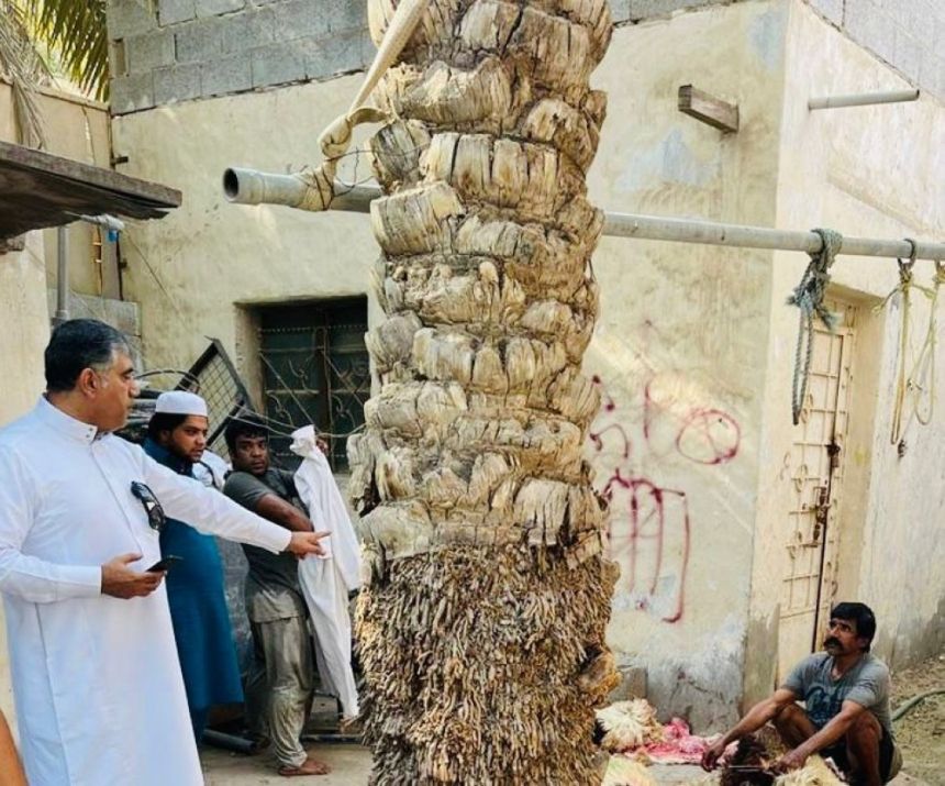 ضبط مسالخ عشوائية وإزالة 52 موقعًا في أيام عيد الأضحى بالأحساء